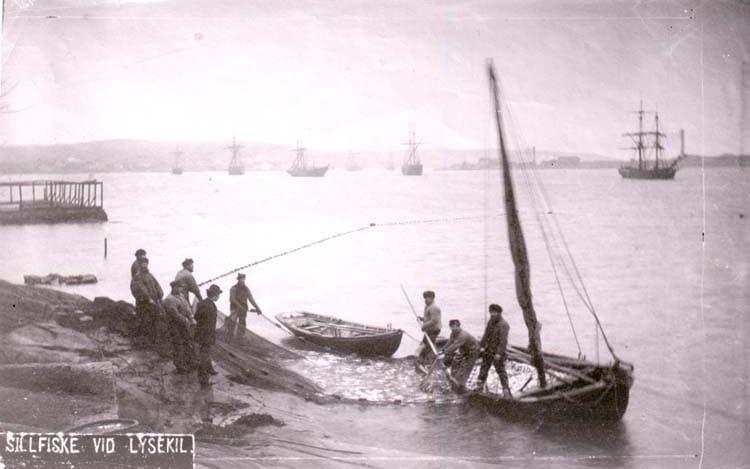 Hundra bilder på fartyg och båtar - från Strömstad till Laholm 