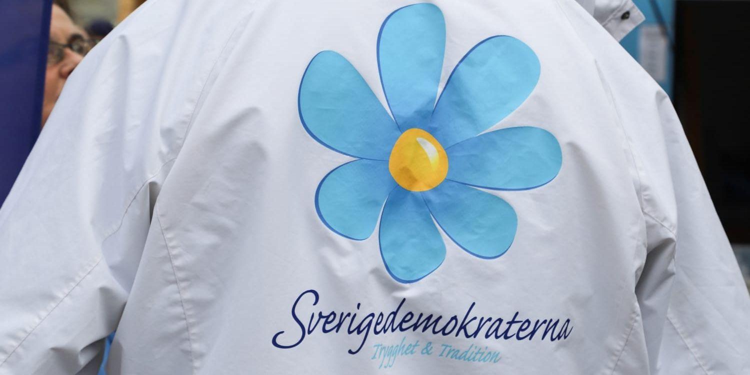 Vi gröna tycker att det är tråkigt att dessa lögner gång efter gång upprepas av SD och deras konservativa vänner, menar skribenterna. 