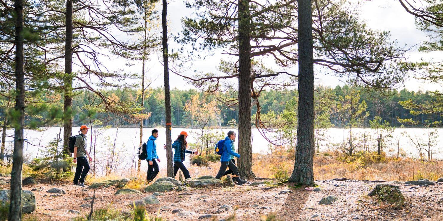 Tar regeringen chansen och vänder utvecklingen genom att skjuta till mer pengar i den kommande höstbudgeten? Det undrar debattörerna Svenska Turistföreningen och Friluftsfrämjandet.