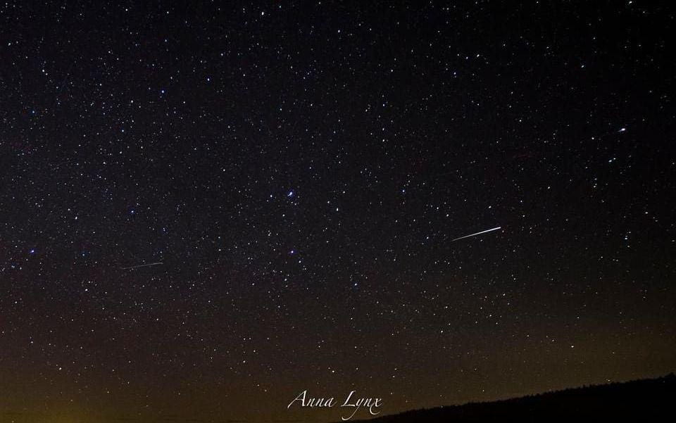 Stjärnbeströdd himmel med stjärnfall fotograferat av Anna Lynx.