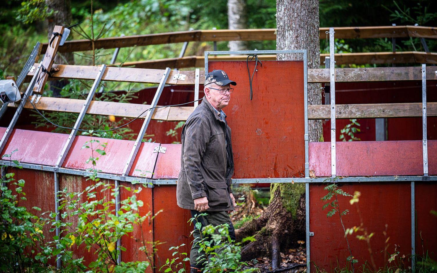 Större delen av tiden är fällan inte gillrad. Då fungerar den som utfodringsplats och grisarna kan gå ut och in som de vill. 