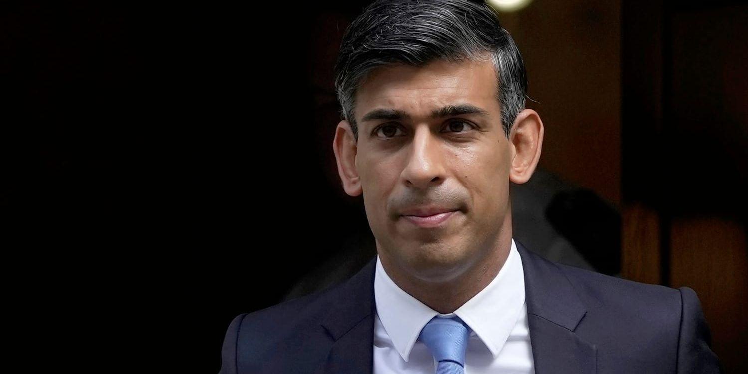 Storbritanniens premiärminister Rishi Sunak förklarade i september att hundrasen American XL bully utgör en fara för allmänheten. Arkivbild.