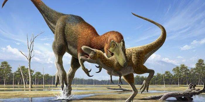 Till nyligen trodde många att fossil av rovdinosaurien Nanotyrannus inte var något annat än fossil av unga Tyrannosaurus. Nu har det visat sig att Nanotyrannus var en helt egen art. Rekonstruktionen visar en Nanotyrannus som attackerar en ung Tyrannosaurus – omvända världen.