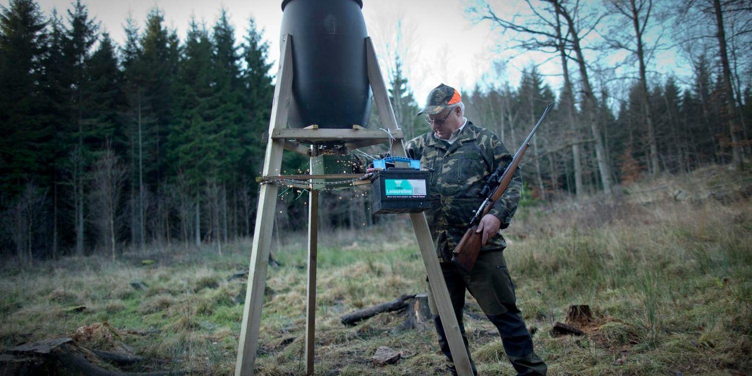 Mörkersikten får endast användas vid jakt i öppen terräng eller åtelplatser, där djur får tillgång till foder. Arkivbild.